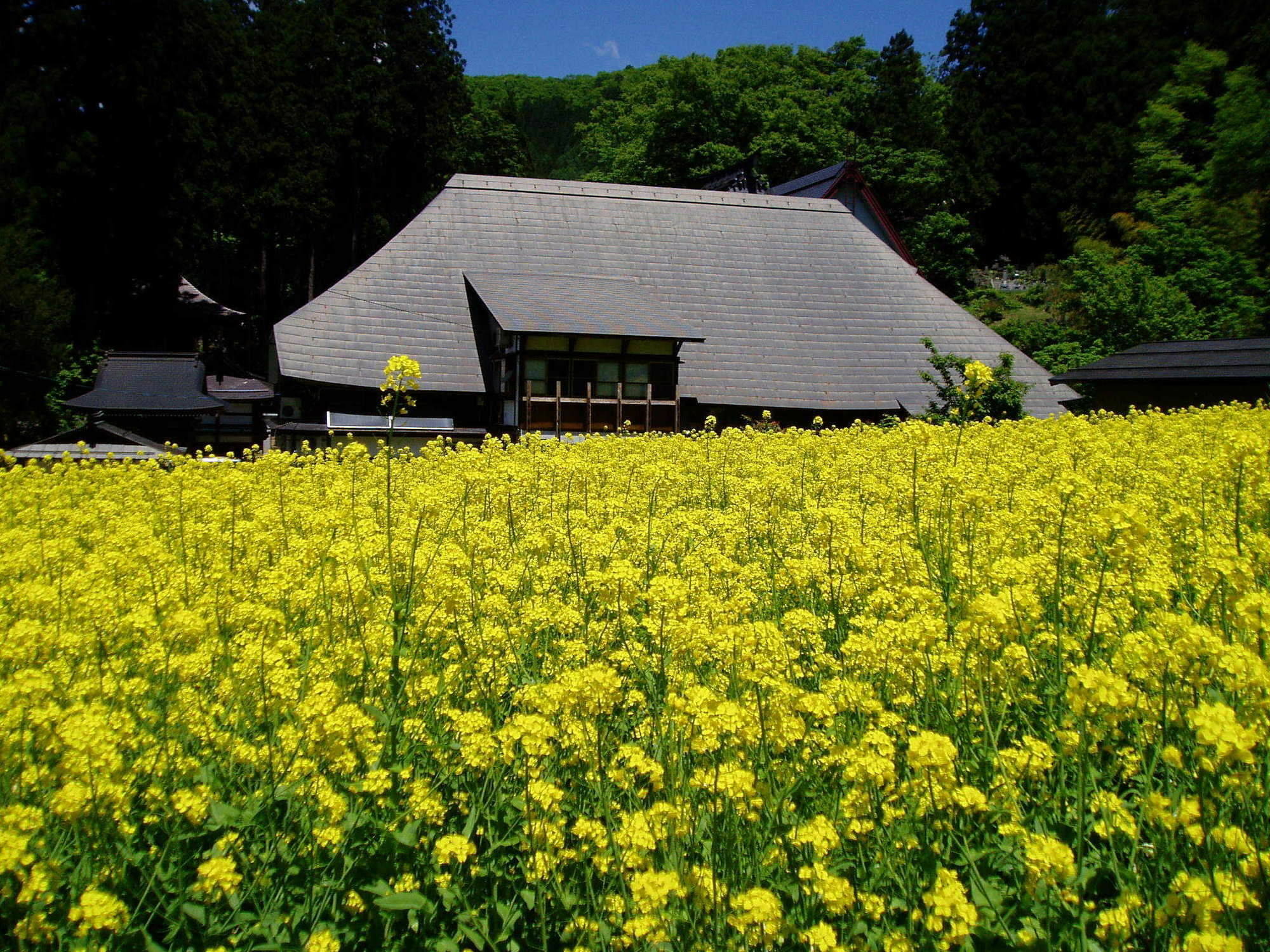 Lodge Matsuya Nozawaonsen Dış mekan fotoğraf